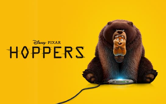 Hoppers