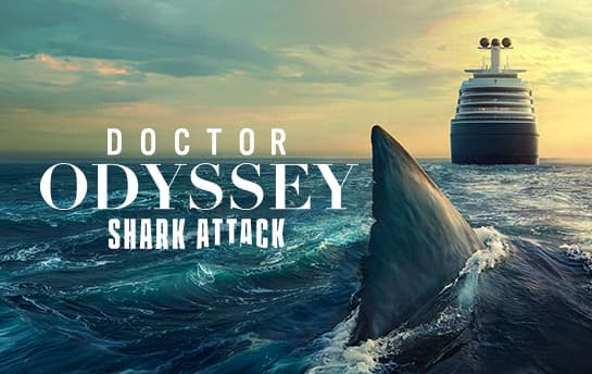 Dr Odyssey - Shark Attack